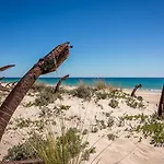 Pedras D'el Rei