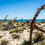 Pedras D'el Rei Курортный комплекс 3*