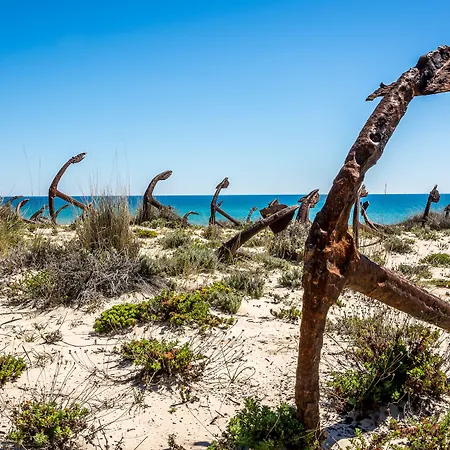 Pedras D'el Rei Ośrodek wypoczynkowy 3*